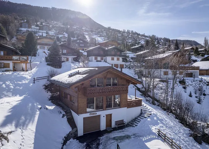 Nid Blanc Chalet Nendaz